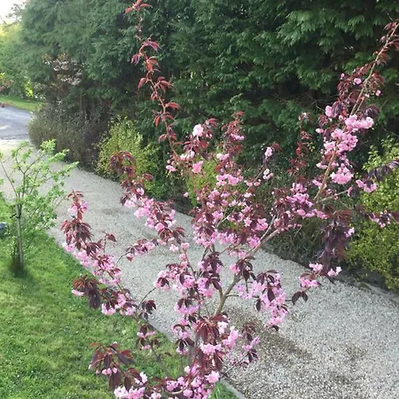 Cherry Lane Maison d'hôtes